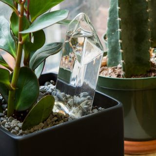 cristal d'eau pour plantes kikkerland